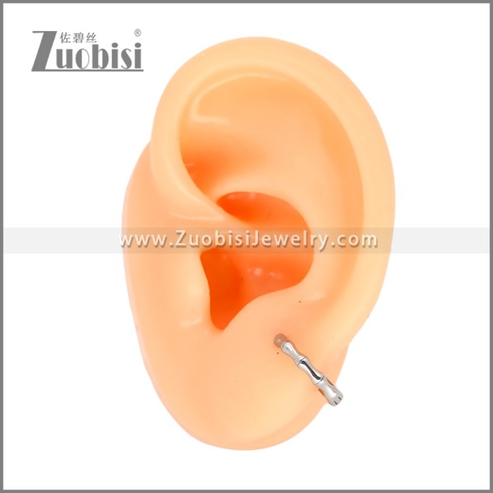 Stainless Steel Earrings e002472