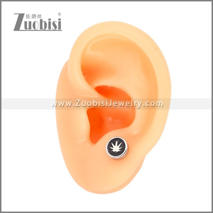 Stainless Steel Earrings e002484S2