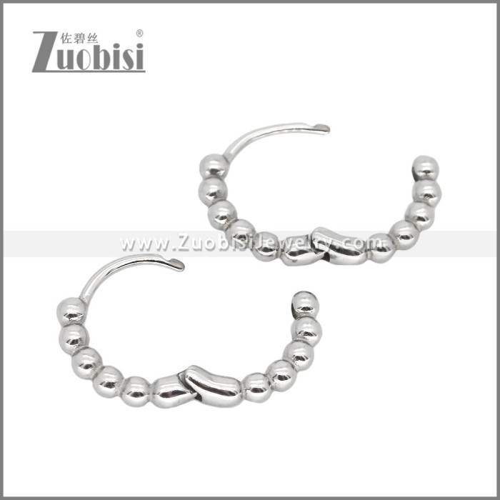 Stainless Steel Earrings e002468