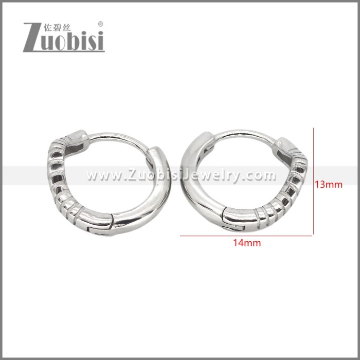 Stainless Steel Earrings e002470