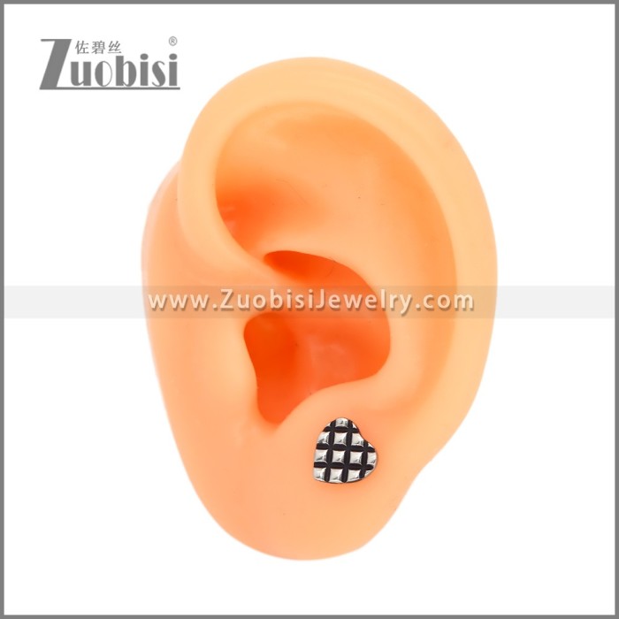 Stainless Steel Earrings e002521