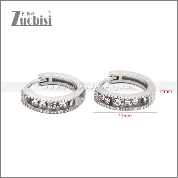 Stainless Steel Huggie Earrings e002500S2