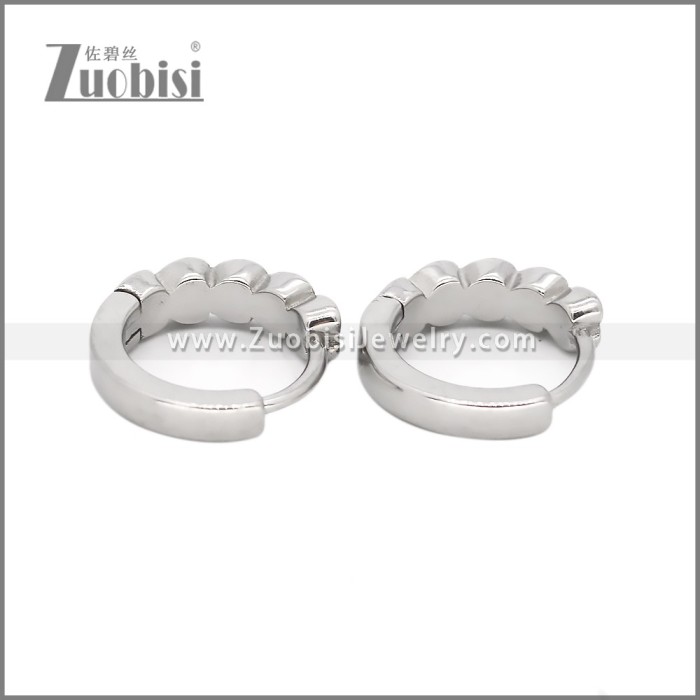 Stainless Steel Huggie Earrings e002492S2