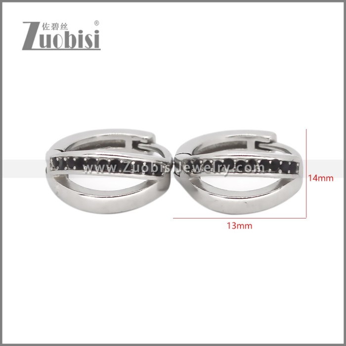 Stainless Steel Earrings e002522S2