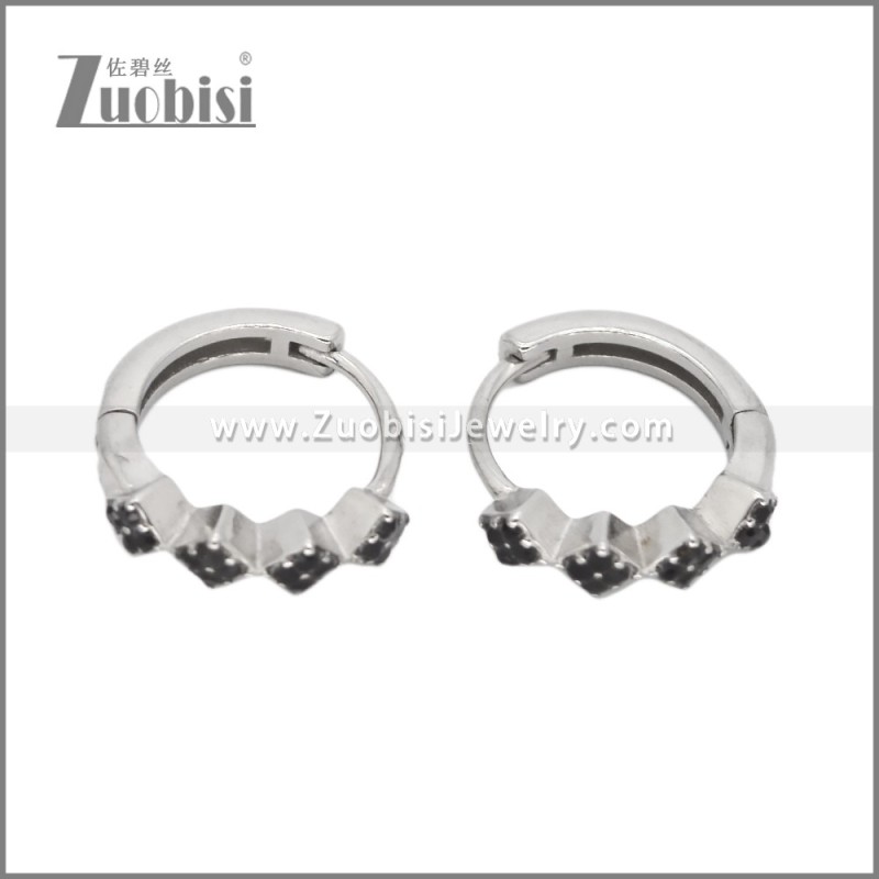 Stainless Steel Earring e002539S1