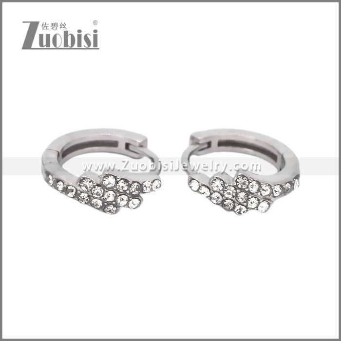 Stainless Steel Earring e002535S1