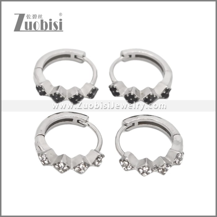 Stainless Steel Earring e002539S1