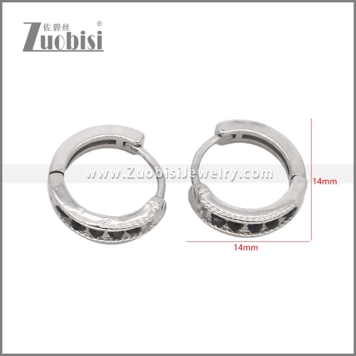 Stainless Steel Earring e002529
