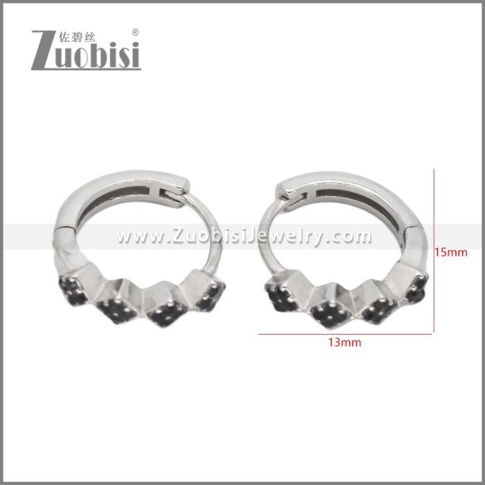 Stainless Steel Earring e002539S1