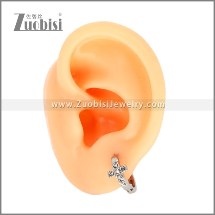 Stainless Steel Earring e002538S1
