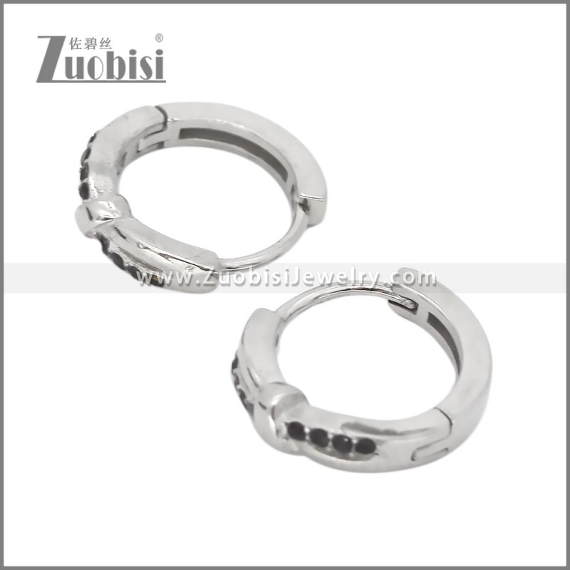 Stainless Steel Earring e002536S2