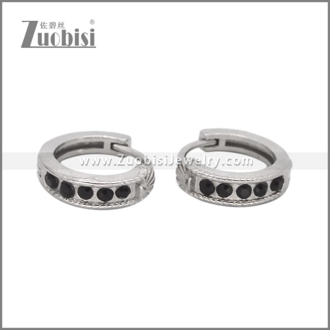 Stainless Steel Earring e002529