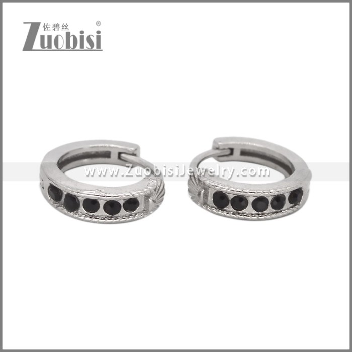 Stainless Steel Earring e002529