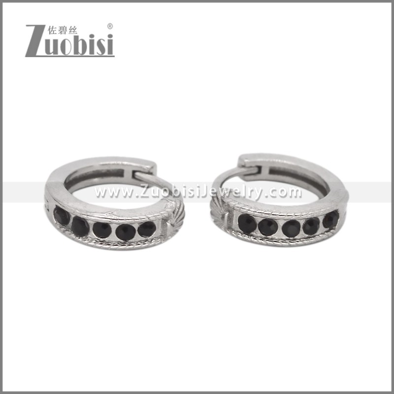 Stainless Steel Earring e002529