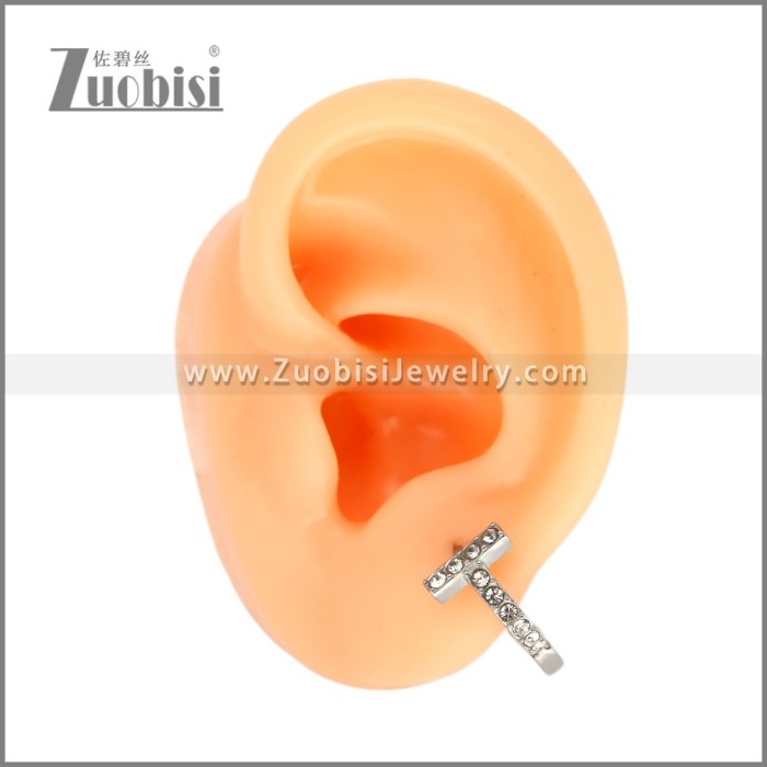 Stainless Steel Earring e002530