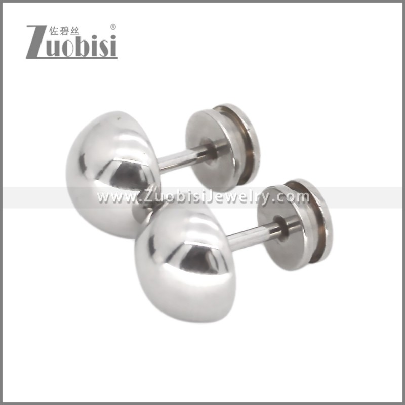 Stainless Steel Earring e002531