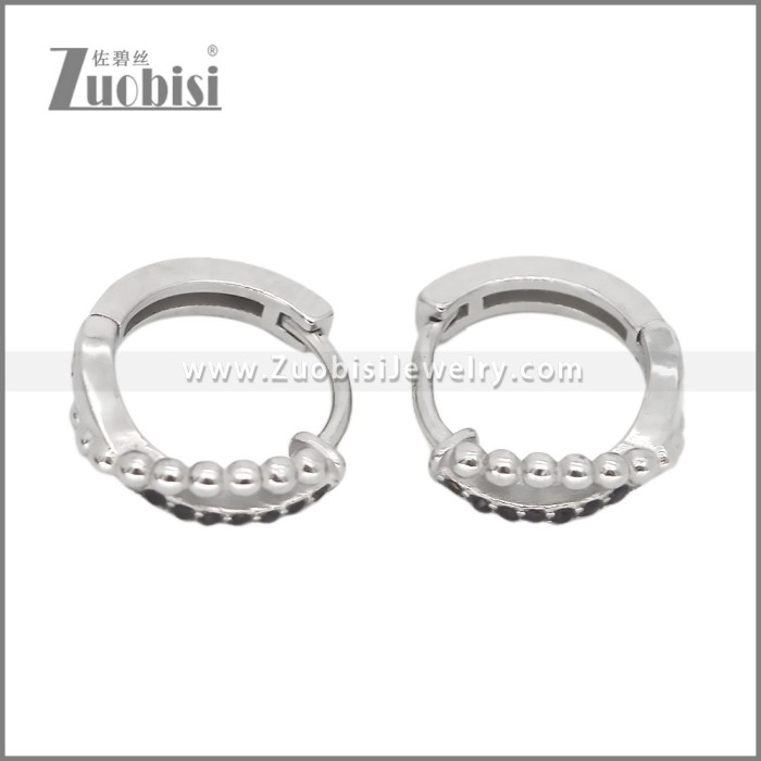Stainless Steel Earring e002540S1