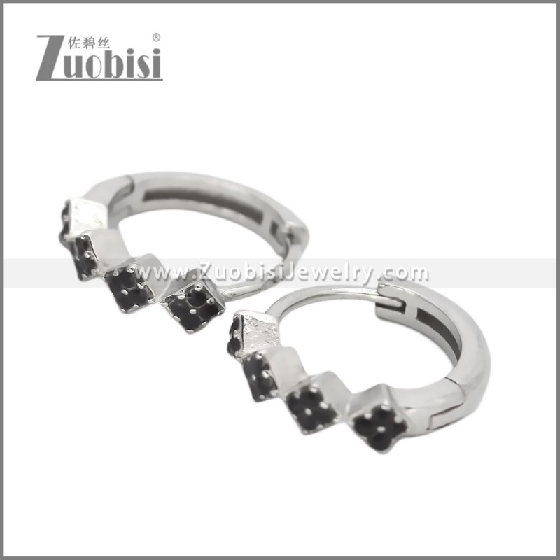 Stainless Steel Earring e002539S1