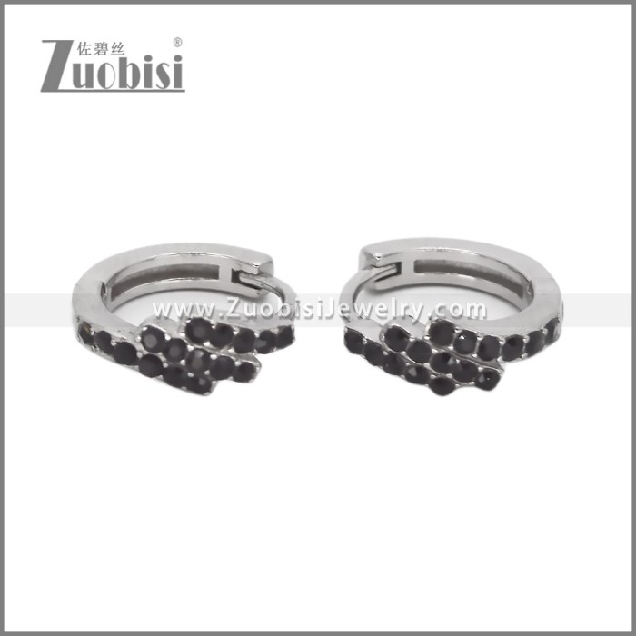 Stainless Steel Earring e002535S2