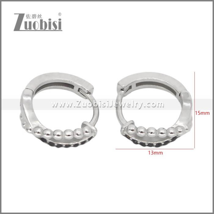 Stainless Steel Earring e002540S1