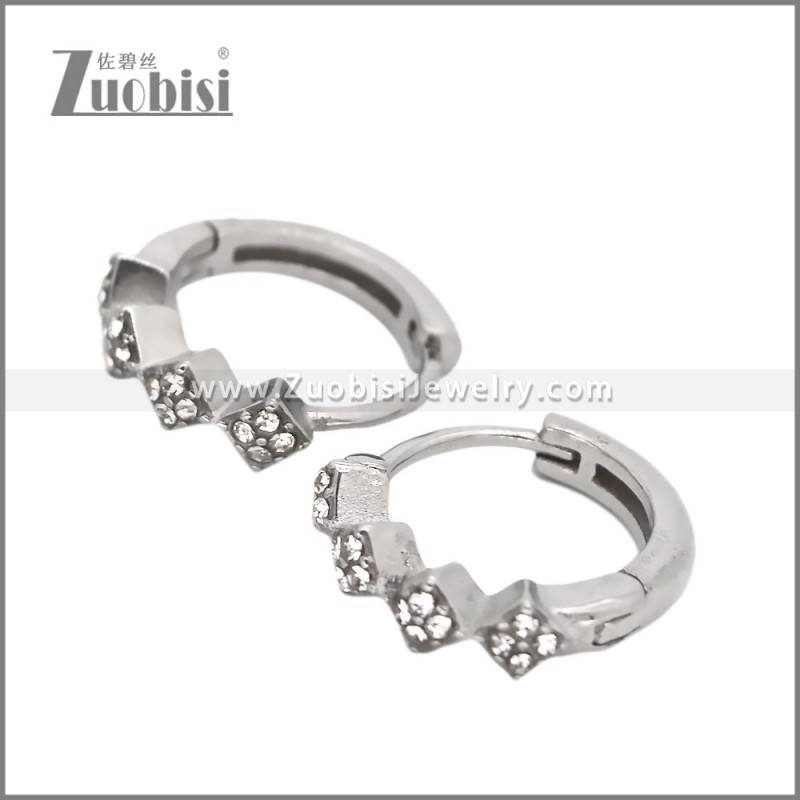 Stainless Steel Earring e002539S2