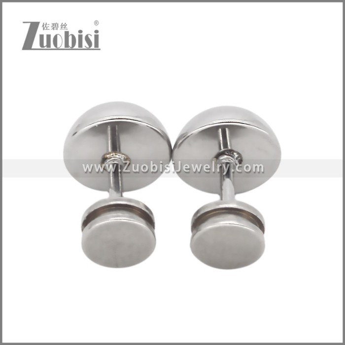 Stainless Steel Earring e002531
