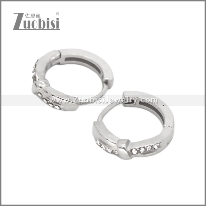 Stainless Steel Earring e002536S1
