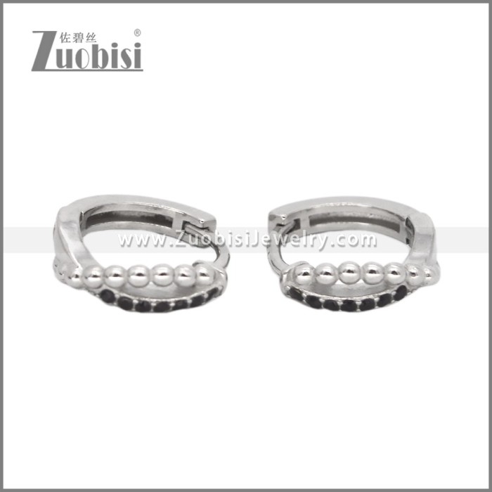 Stainless Steel Earring e002540S1