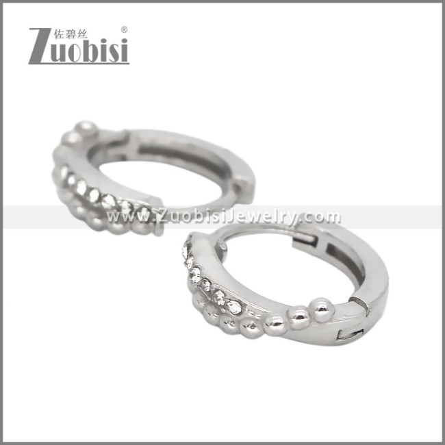 Stainless Steel Earring e002540S2