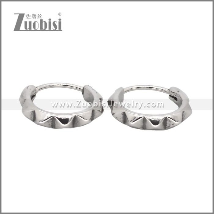 Stainless Steel Earring e002545