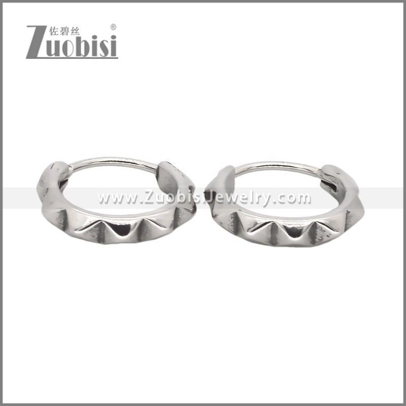 Stainless Steel Earring e002545