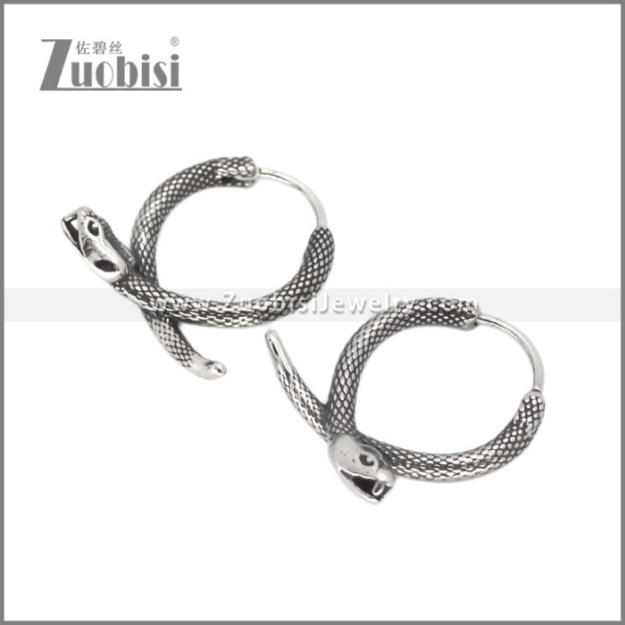 Stainless Steel Earring e002567