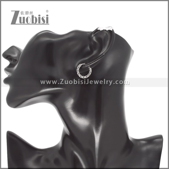 Stainless Steel Earring e002587