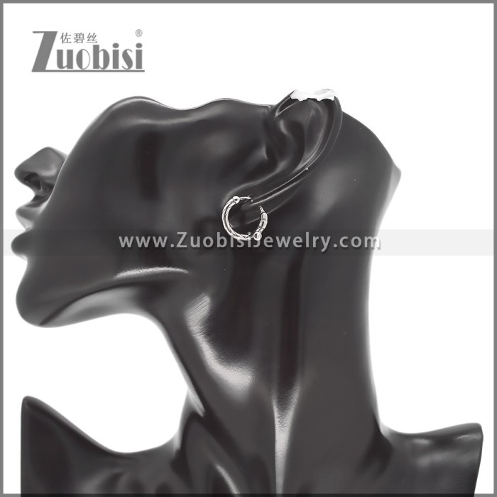 Stainless Steel Earring e002592