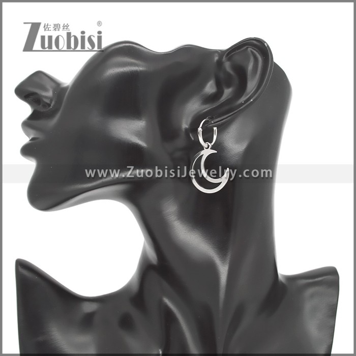 Stainless Steel Earring e002552