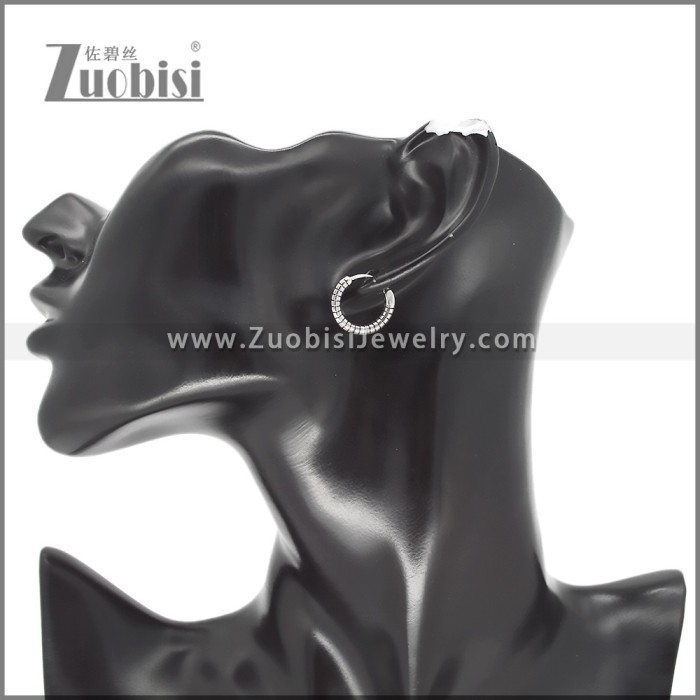Stainless Steel Earring e002593