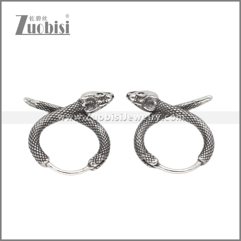 Stainless Steel Earring e002567