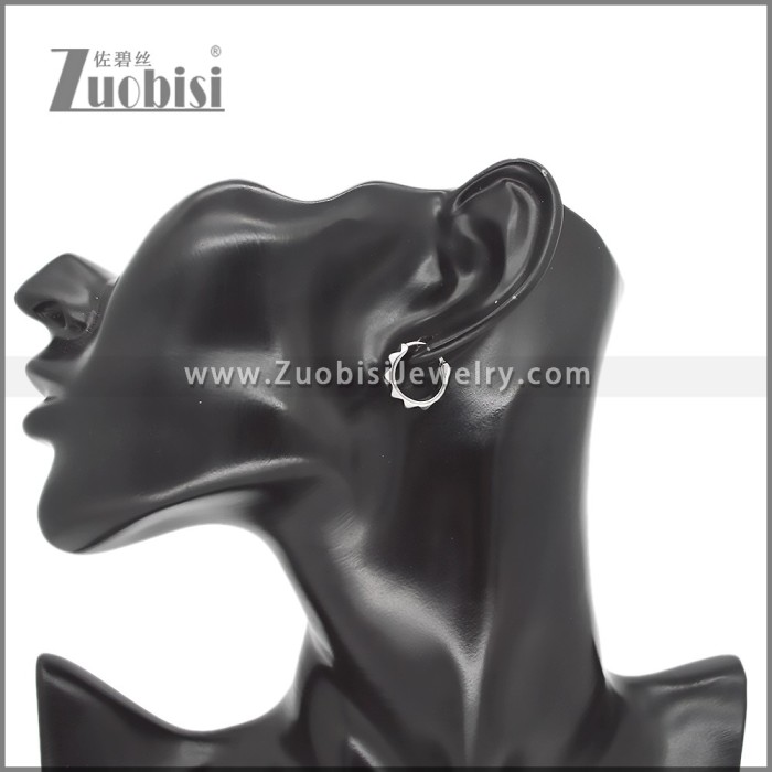 Stainless Steel Earring e002545
