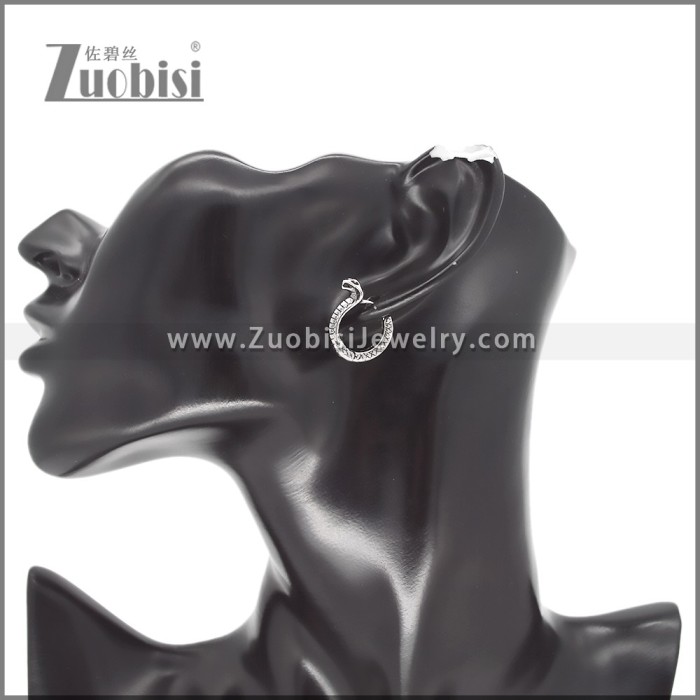 Stainless Steel Earring e002574