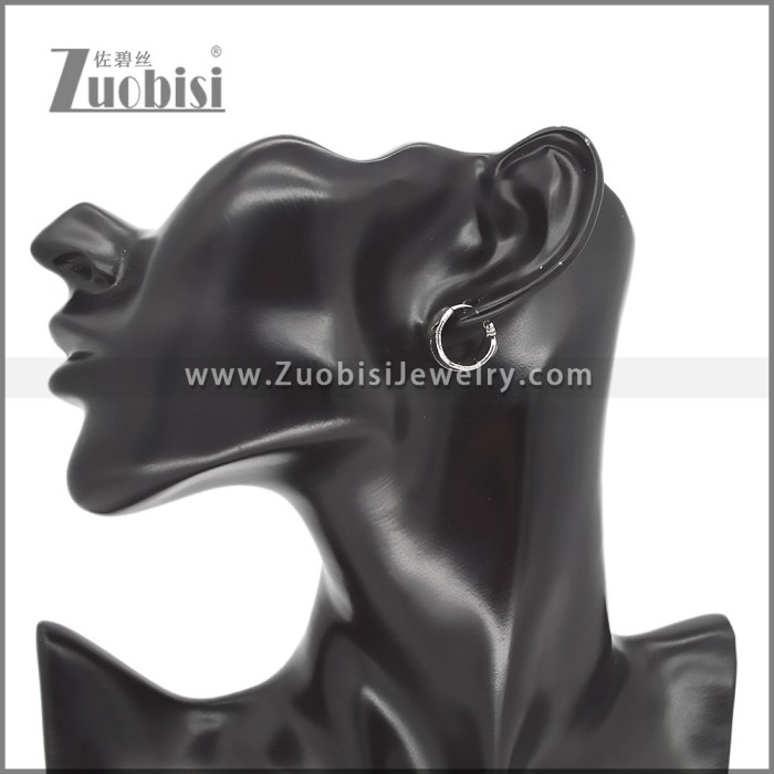 Stainless Steel Earring e002543
