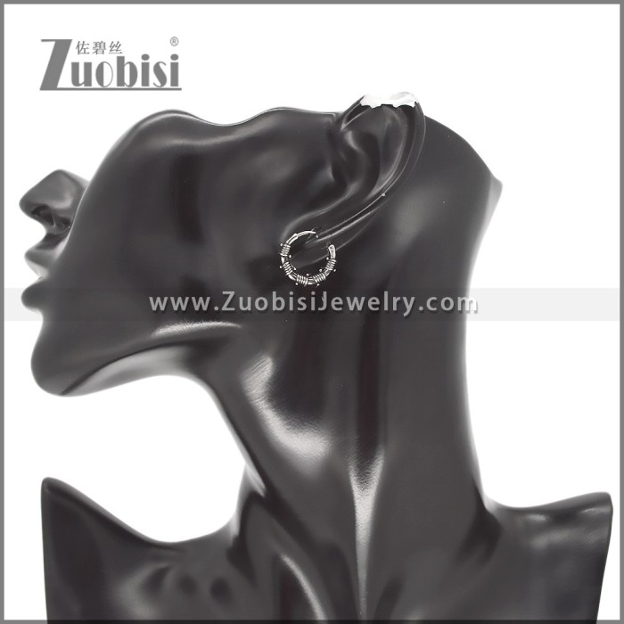 Stainless Steel Earring e002584