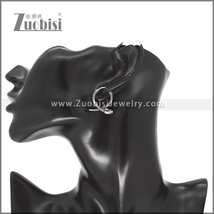 Stainless Steel Earring e002567