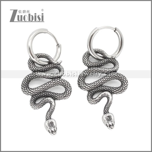 Stainless Steel Earring e002564