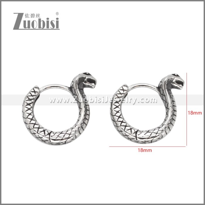 Stainless Steel Earring e002574