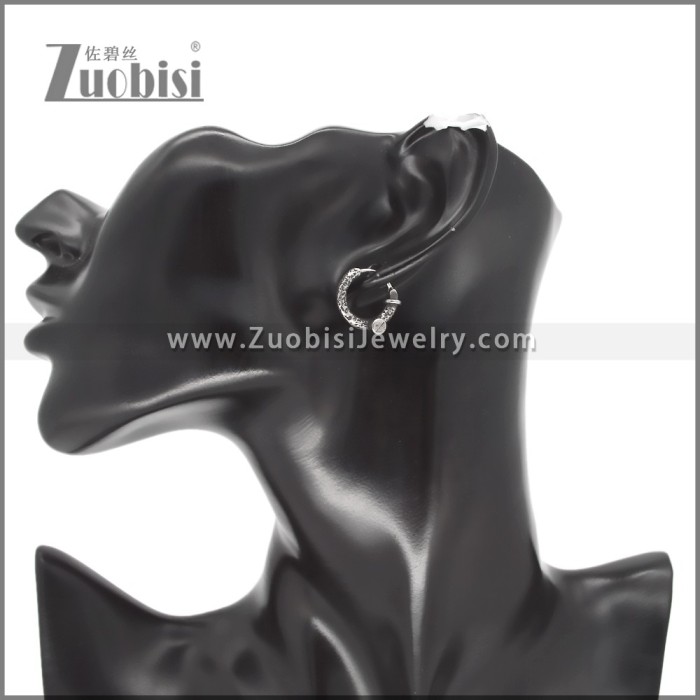 Stainless Steel Earring e002594
