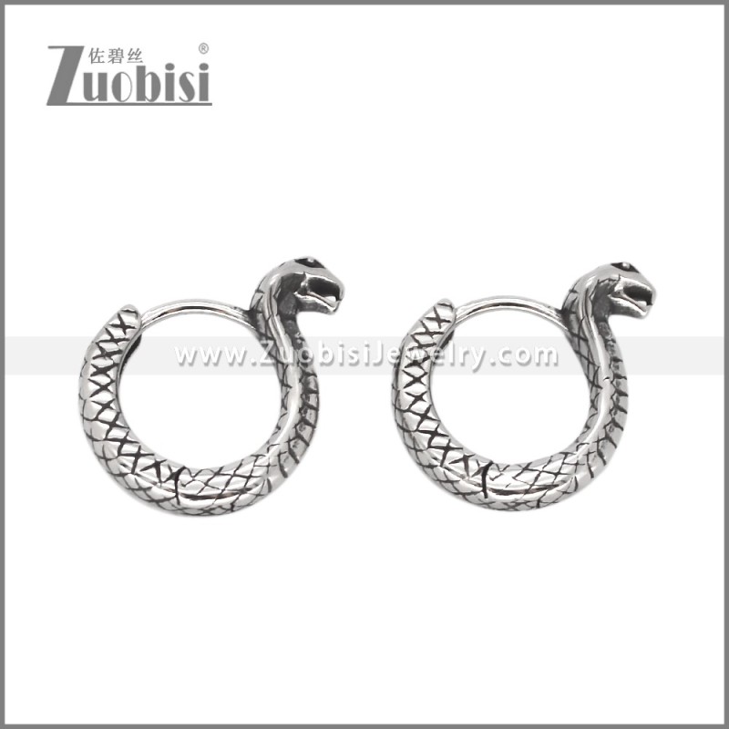 Stainless Steel Earring e002574
