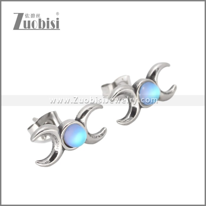 Stainless Steel Earrings e002639S1