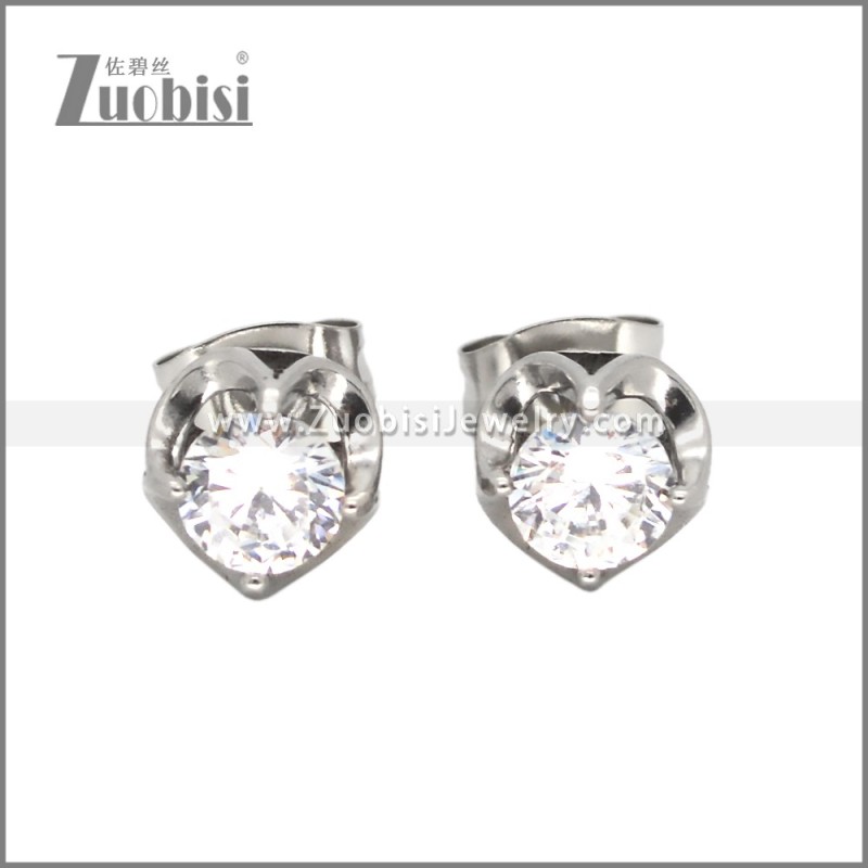 Stainless Steel Earrings e002648S