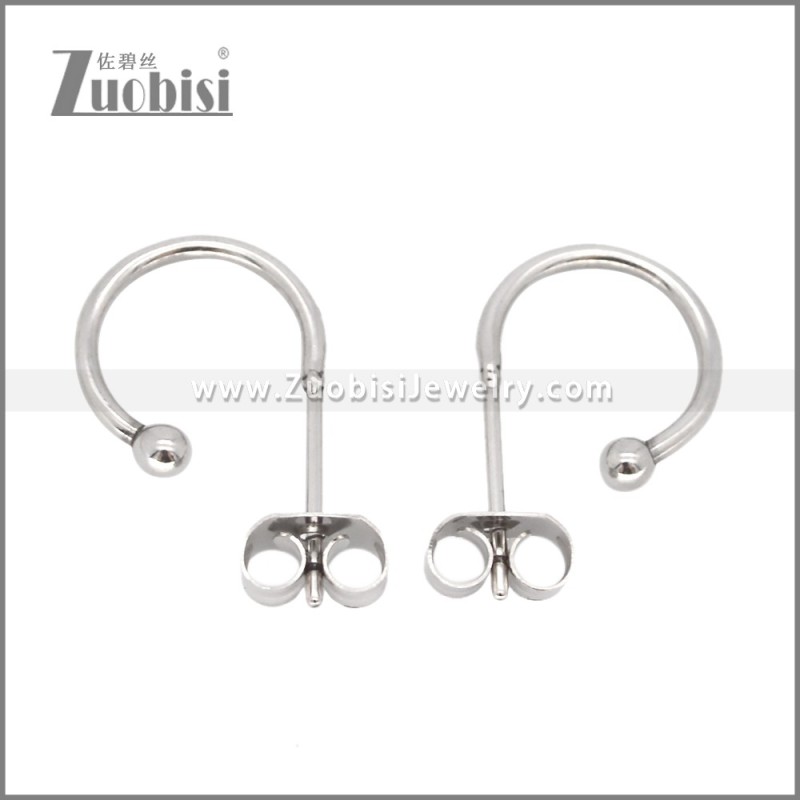 Stainless Steel Earrings e002647