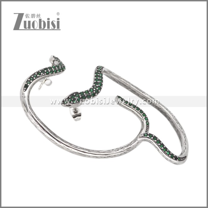 Stainless Steel Earrings e002621B